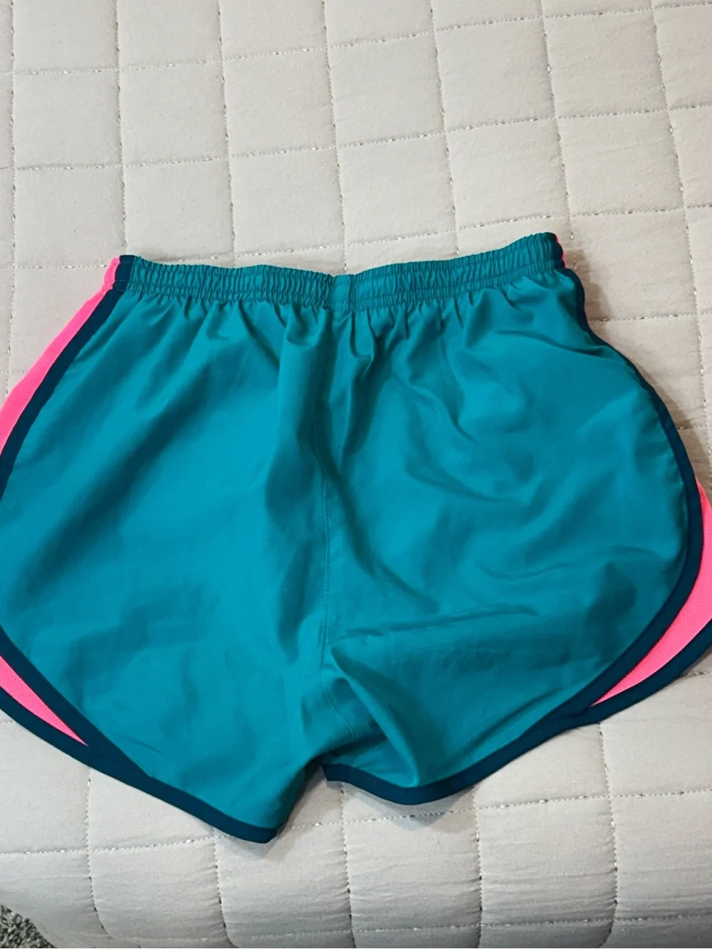 Nike Teal and Hot Pink Women's Athletic Running Shorts